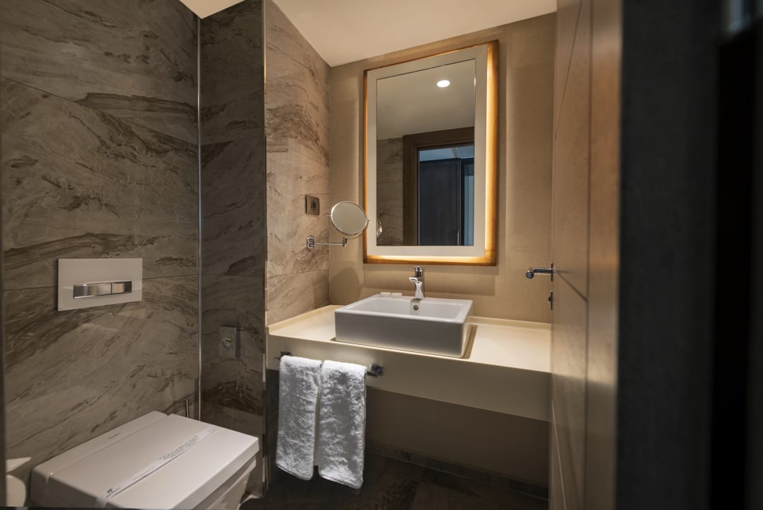 Zimmer Holiday Inn Kayseri - Duvenonu