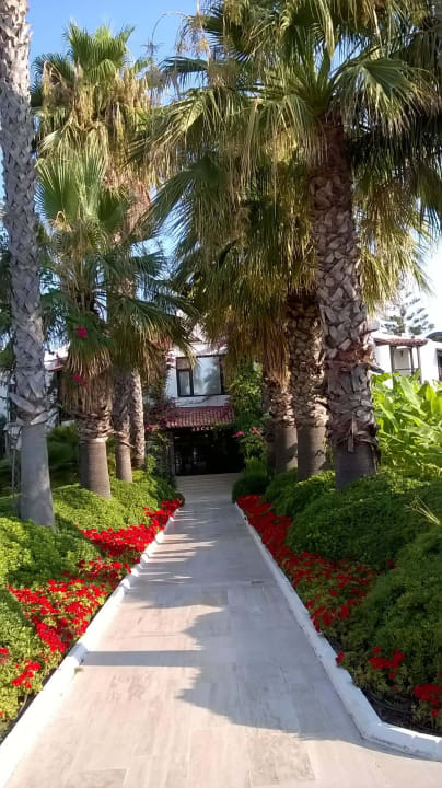 "Gärtner pflegen rund um d..." Emelda Sun Club (Camyuva) • HolidayCheck