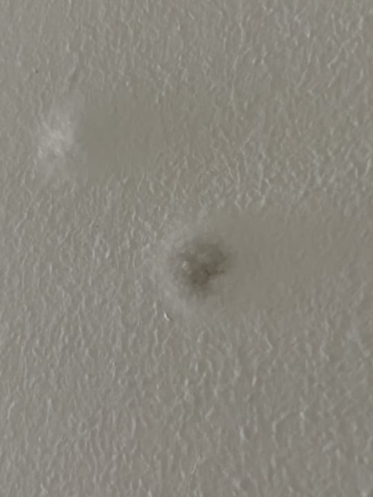 Zimmer Hotel Mariant Park