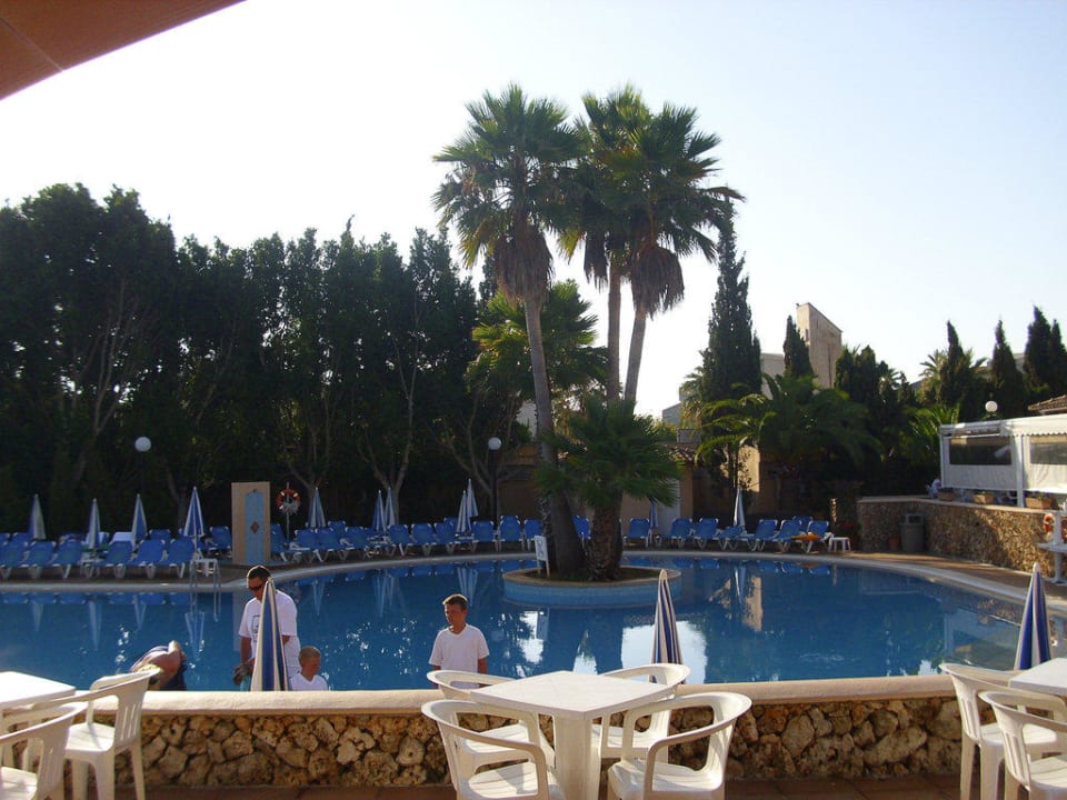 Hauptpool am Morgen Hipotels Mediterraneo Club