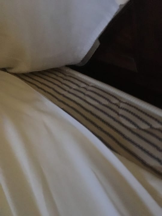 Zimmer Hotel Palm Beach