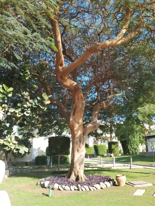 Gartenanlage Regina Resort and Aqua Park Hurghada