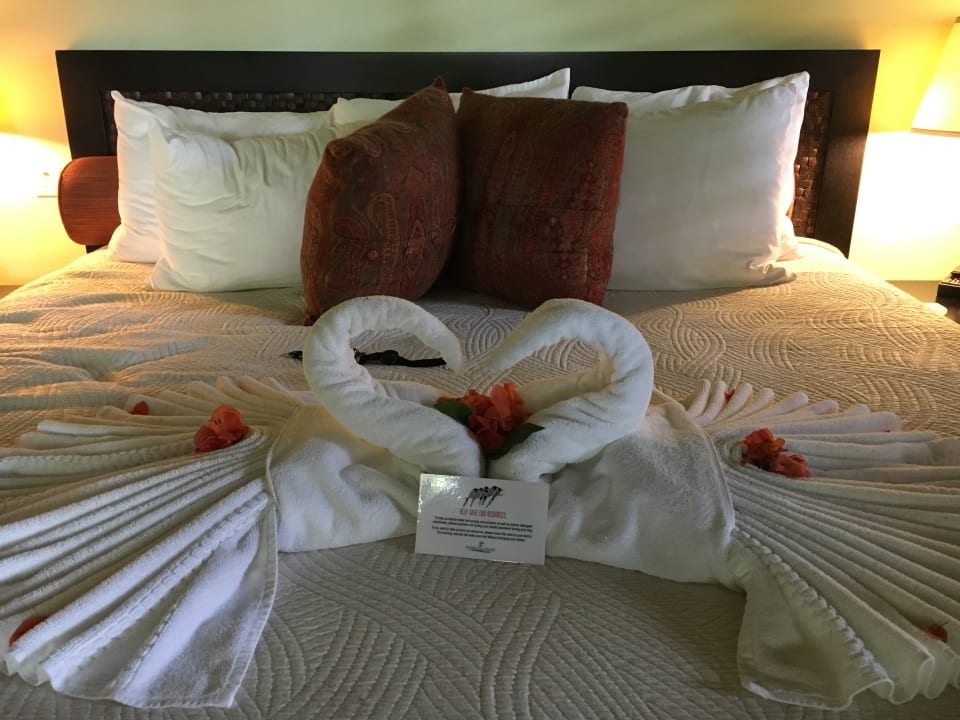 Zimmer Sunset at the Palms Resort - Adults Only