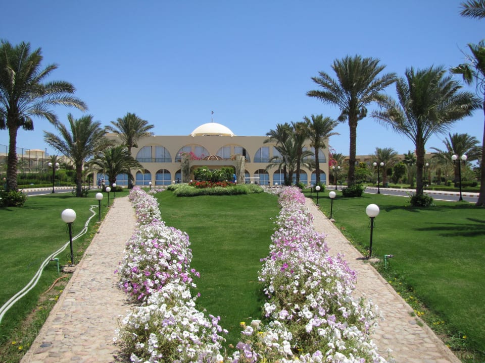 Super gepflegte Rabatten vorm Hoteleingang Desert Rose