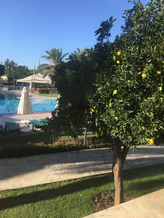 Ausblick Arum Barut Collection