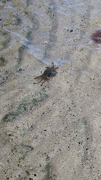 Strand Three Corners Sea Beach Resort