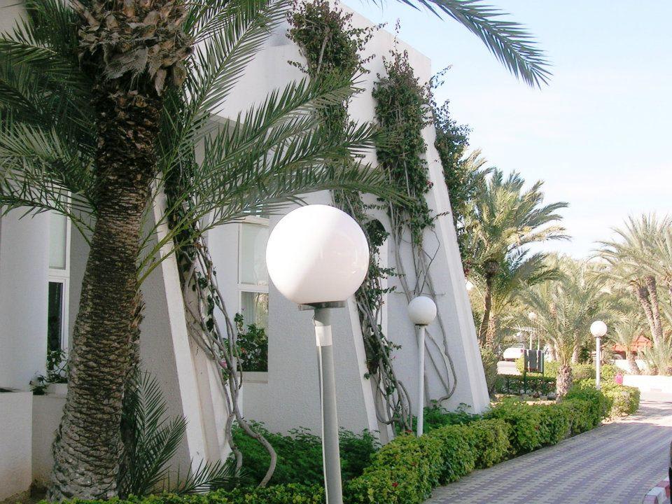 Weg zur Repzeption Hotel El Mouradi Djerba Menzel