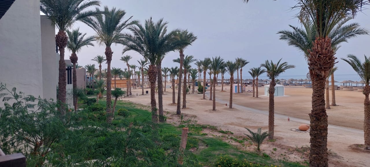Strand Pickalbatros Oasis Hotel - Port Ghalib