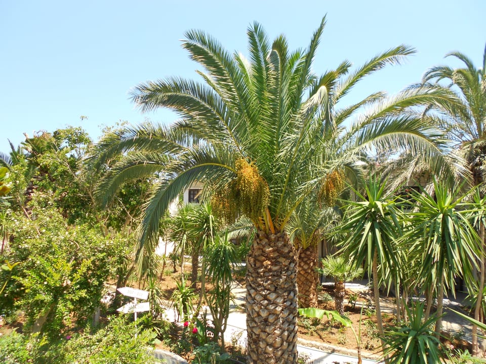 Ein schöner Ausblick vom Zimmer HARPIN Happy Days Beach Hotel