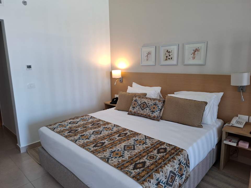 Zimmer JAZ Elite Asteria