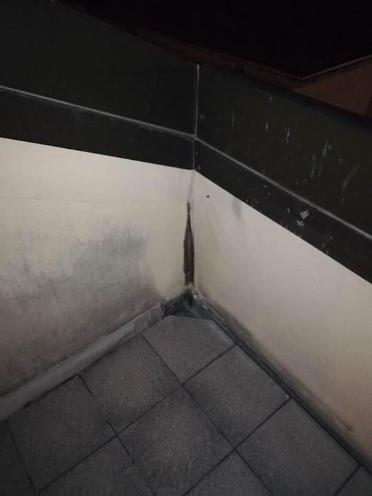 Zimmer SHG Hotel Villa Carlotta