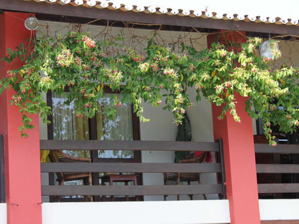 Balkon mit Hängematte Hotel Porto Zarpa