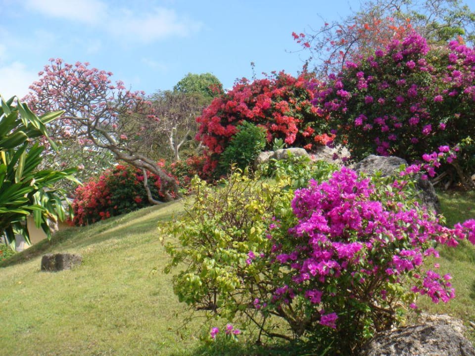 Garten Four Seasons Resort Bali at Jimbaran Bay