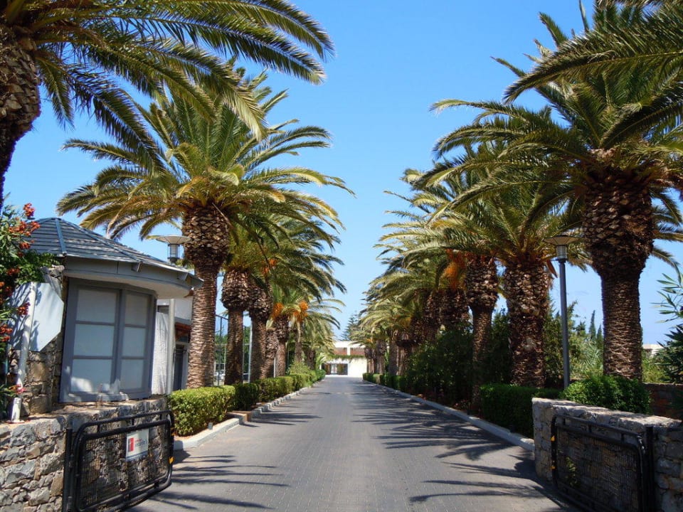 Zufahrt zum Hotel Phãea Cretan Malia