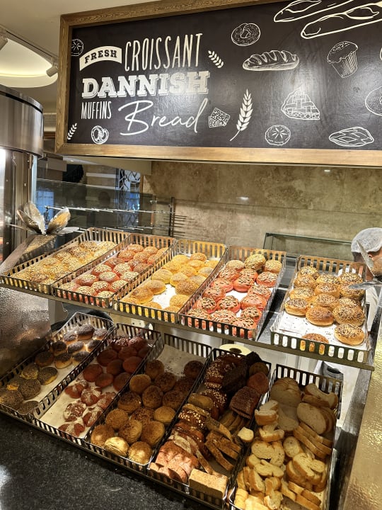 Gastro Papillon Ayscha