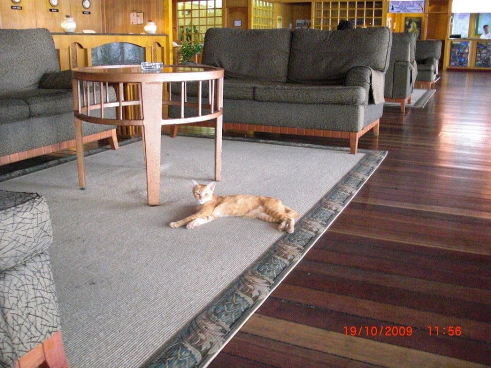 Katze Berjaya Tioman Resort
