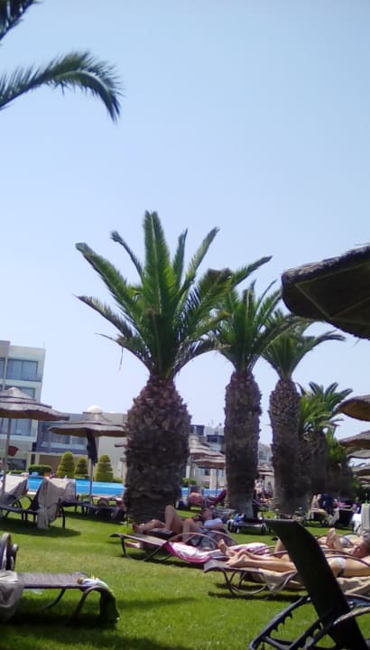Strand The Ixian Grand & All Suites