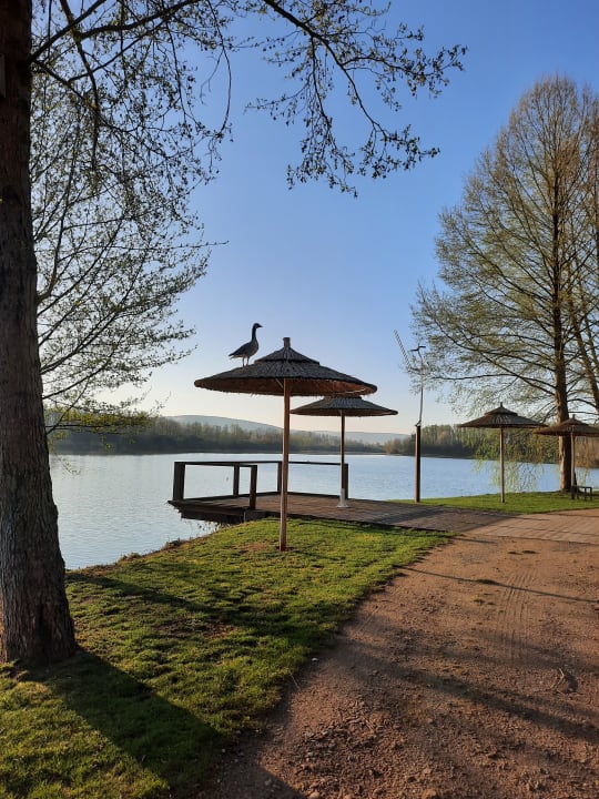 Ausblick Seehotel Niedernberg