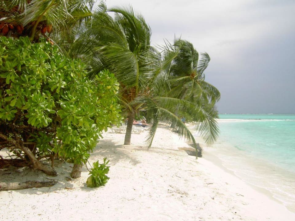 April 2009 Summer Island Maldives