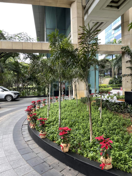 Gartenanlage The Ritz Carlton Bangalore