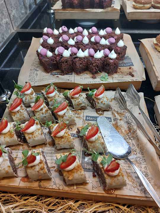 Gastro Seashell Vega