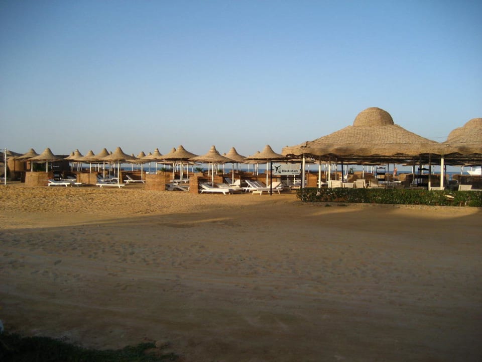 Вид на пляж Ali Baba Palace Resort