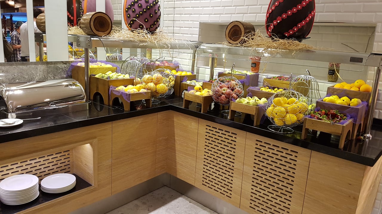 Gastro Seashell Vega