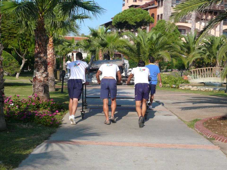 Animateure Papillon Belvil