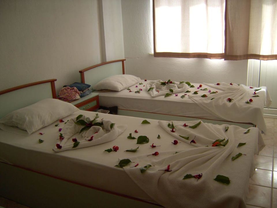 Hane Apartment in Side/Kumköy Apartments Hane Annex