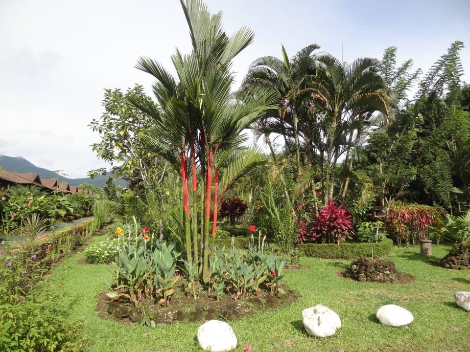 Hotel with beautiful gardens Hotel Arenal Montechiari