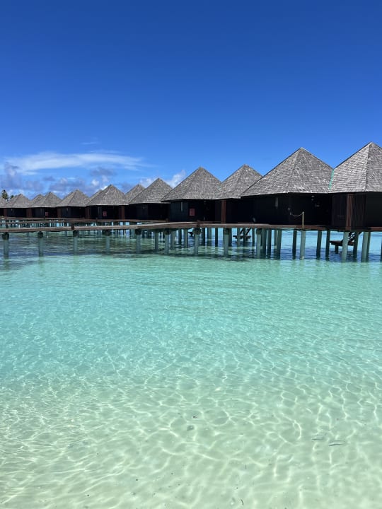 Pool Sun Siyam Olhuveli