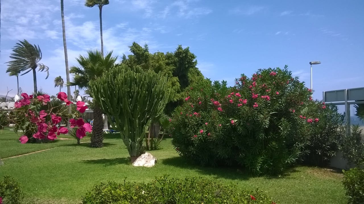 Gartenanlage Sahara Beach Club