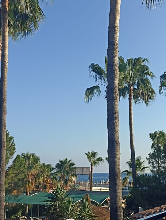 Außenansicht Trendy Palm Beach (Adults Only, 16+)