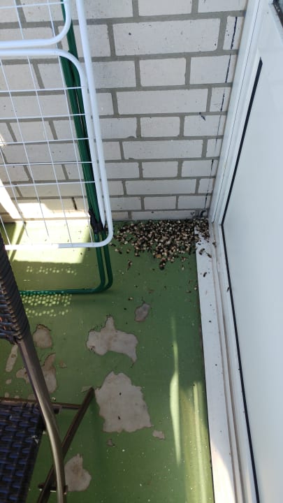 Außenansicht Ferienwohnungen Ferienpark Weissenhäuser Strand