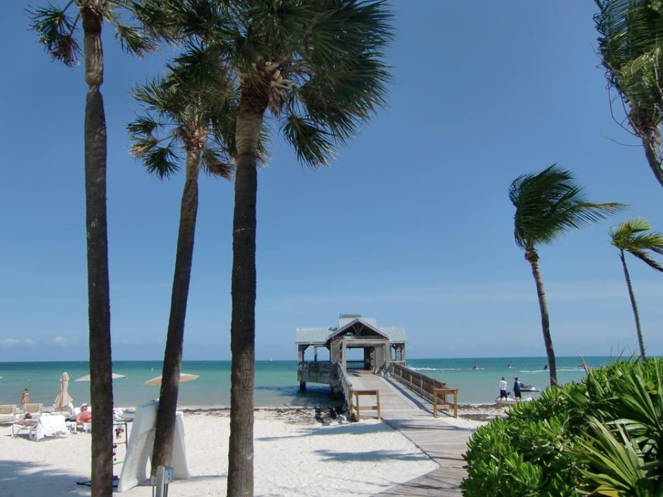 Direkt vom Pool aus fotografiert The Reach Key West, Curio Collection by Hilton