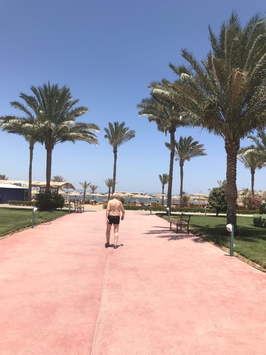 Gartenanlage Desert Rose