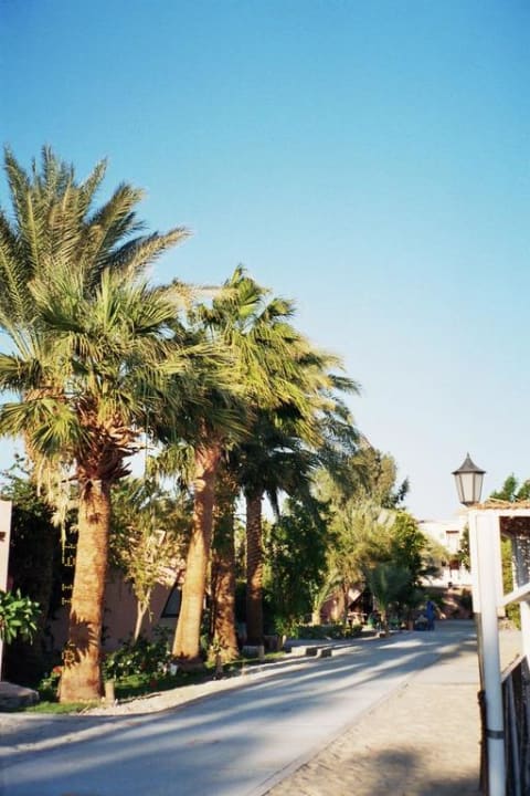 Weg am Strand Eagles Paradise Abu Soma