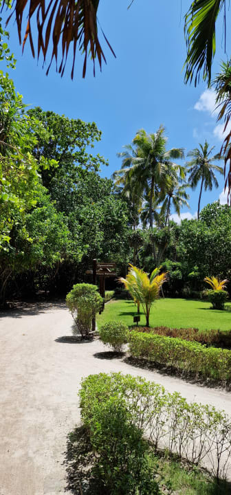 Gartenanlage Adaaran Select Meedhupparu Island Resort - Premium All Inclusive