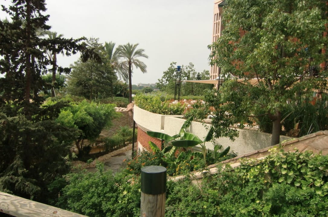 Ogrod AQI Pegasos Resort