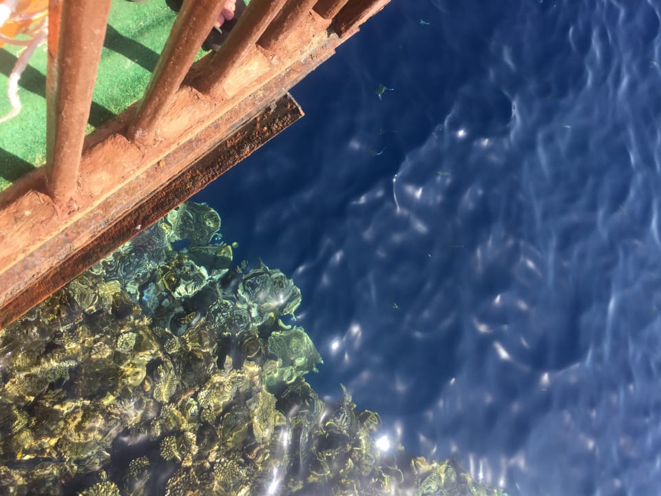 Strand The Grand Hotel Sharm El Sheikh