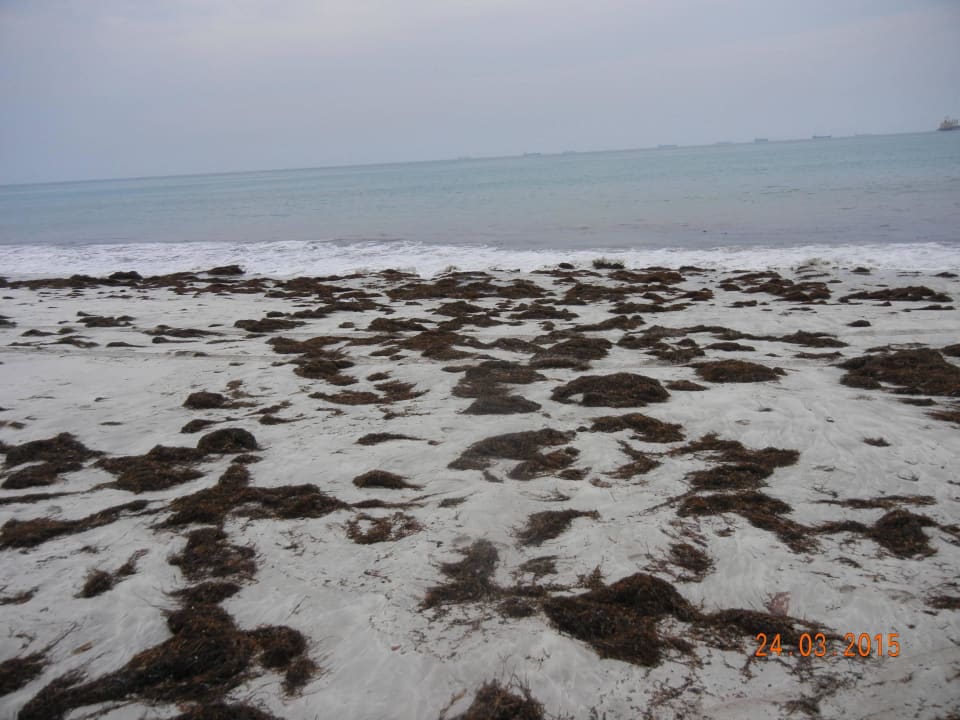 Im Wasser nicht besser! Hilton Salalah  Resort