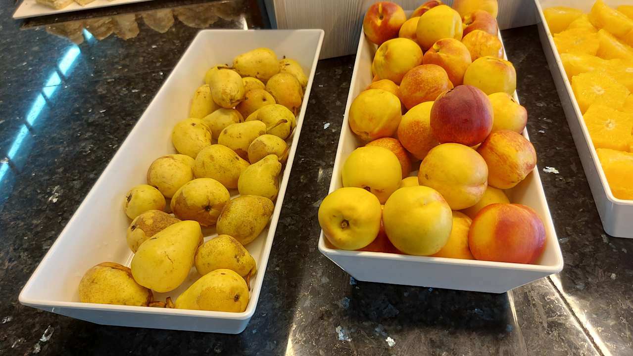 Gastro Hotel Borjana