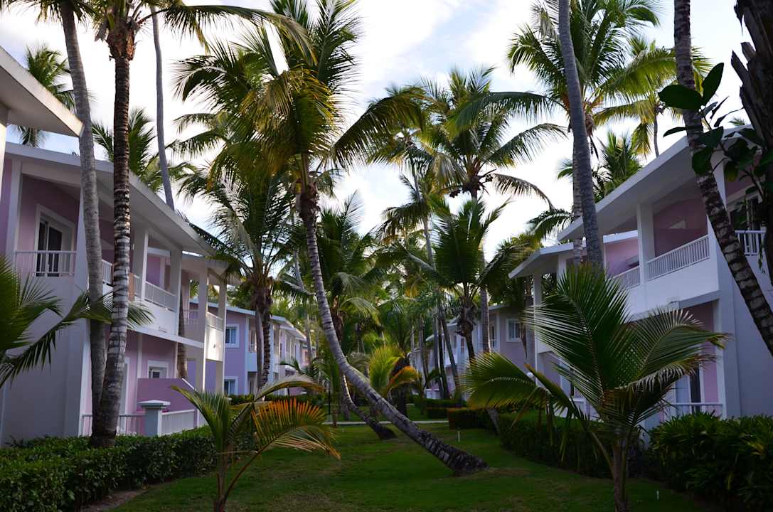 Ogród Hotel Riu Bambu