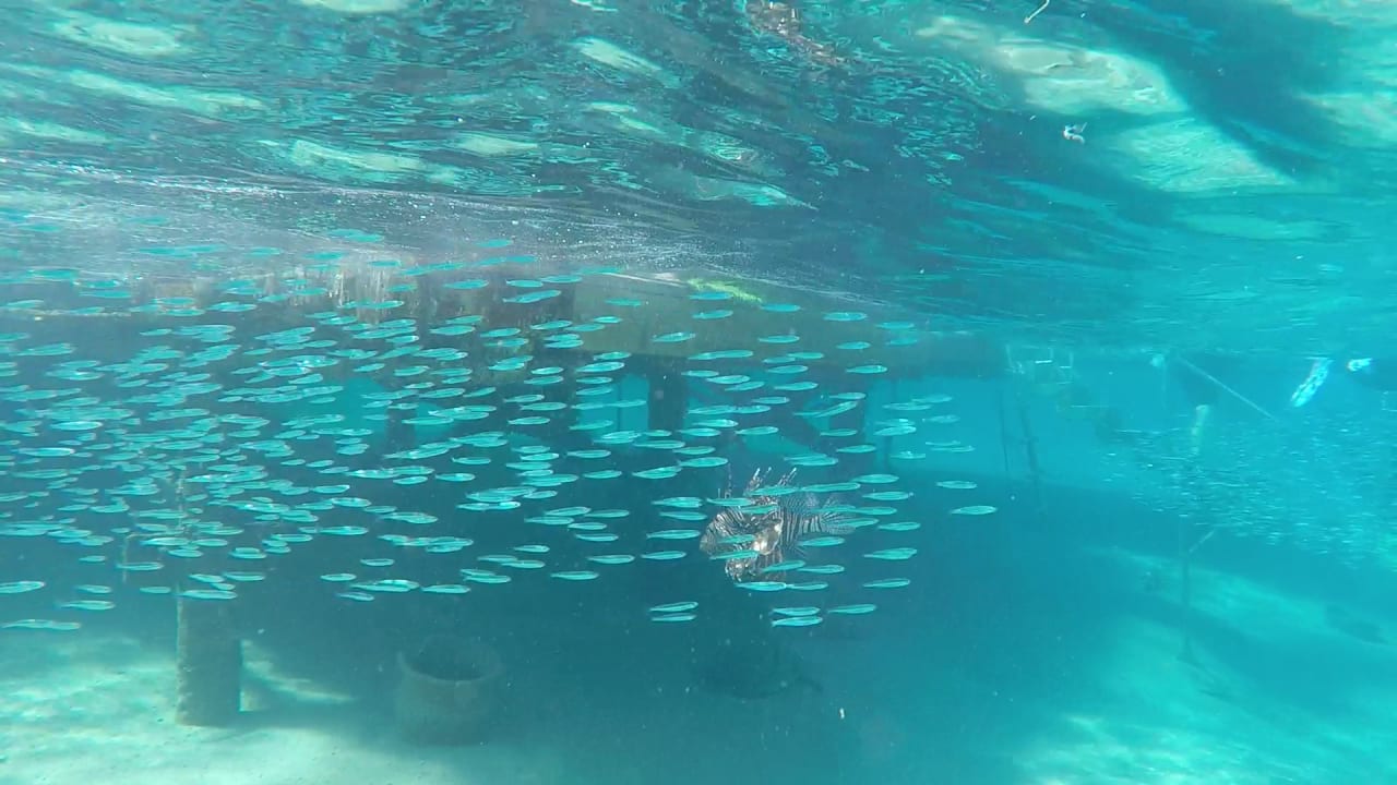 Sport & Freizeit Cleopatra Luxury Resort Makadi Bay