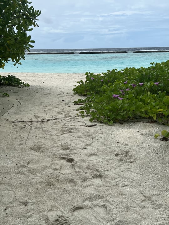 Strand Kuramathi Maldives