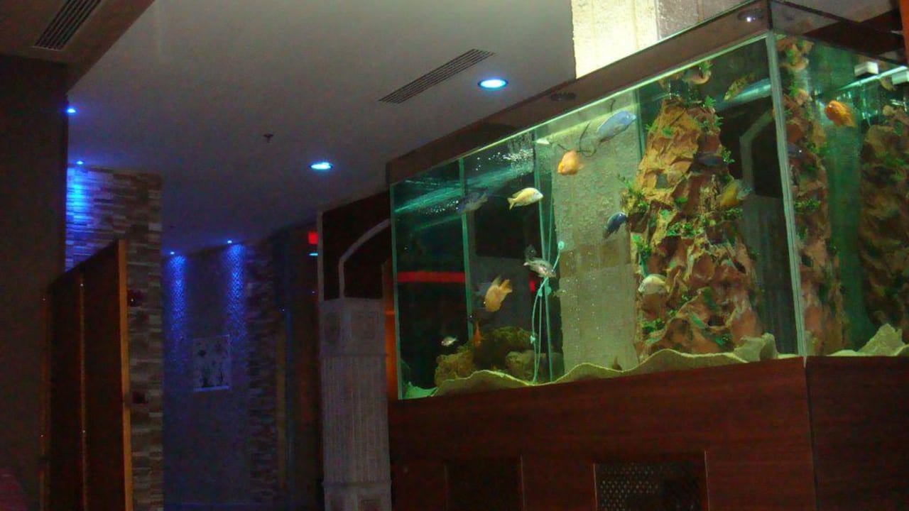 Aquarium in the spa Alaiye Resort & Spa