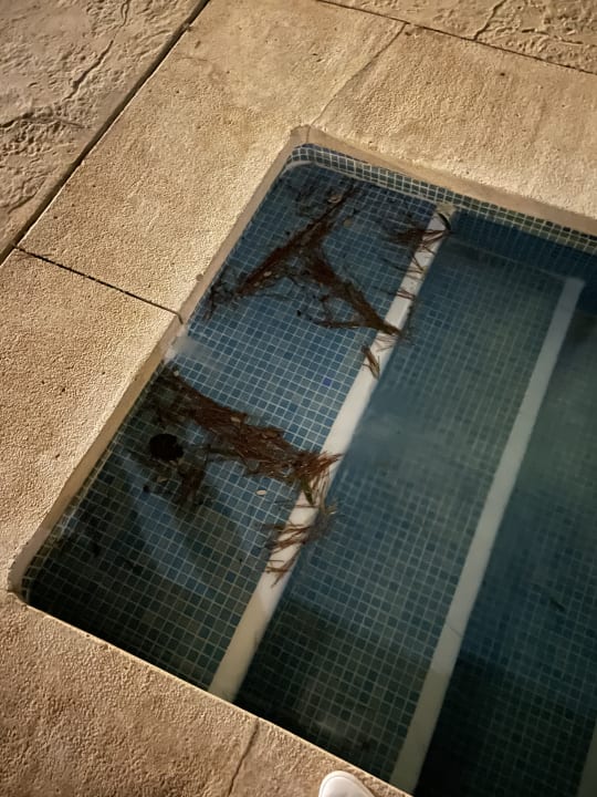 Pool Prinsotel La Dorada