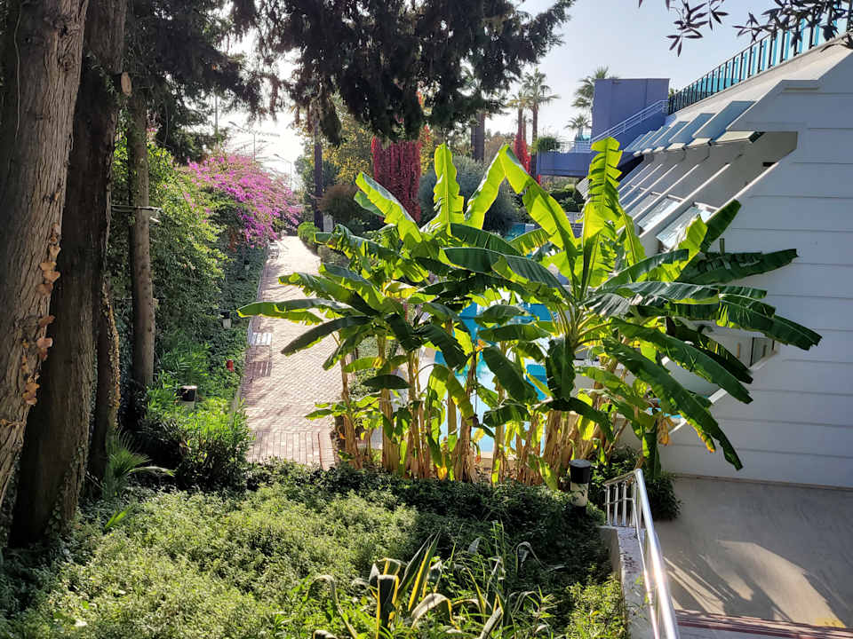 Gartenanlage Side Star Elegance