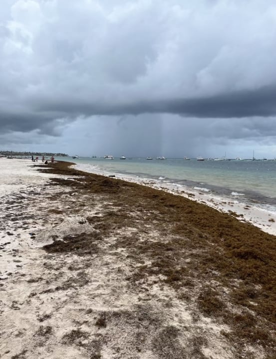 Strand Lopesan Costa Bávaro Resort, Spa & Casino