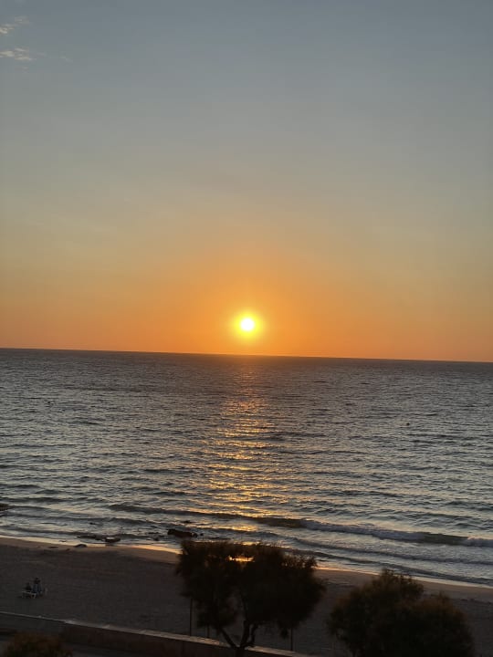 Ausblick Hipotels Hipocampo Playa